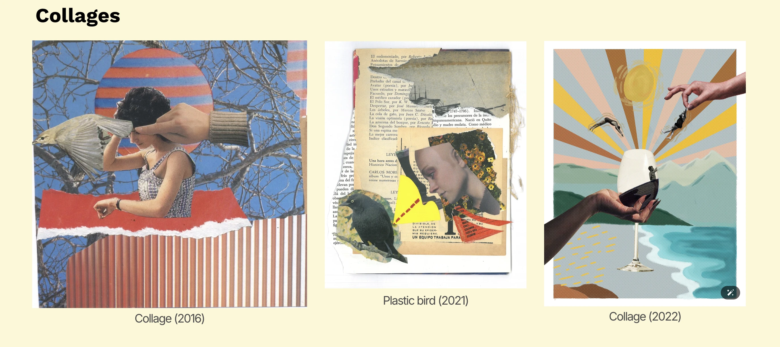 item del carousel de portfolio por Laura